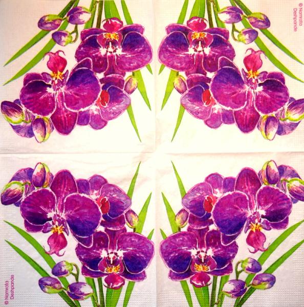 137 Orchids - 3-ply - ppd - Namrata Deshpande - CS